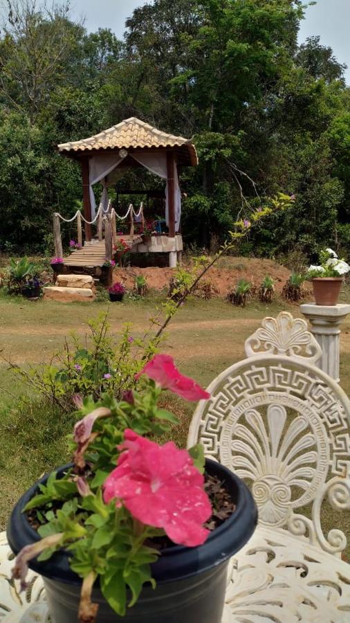 Repouso Sol Lodge